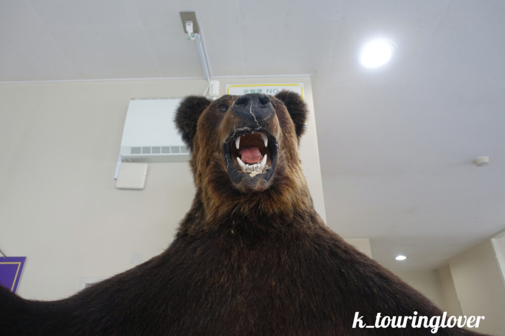 目前のクマの見え方