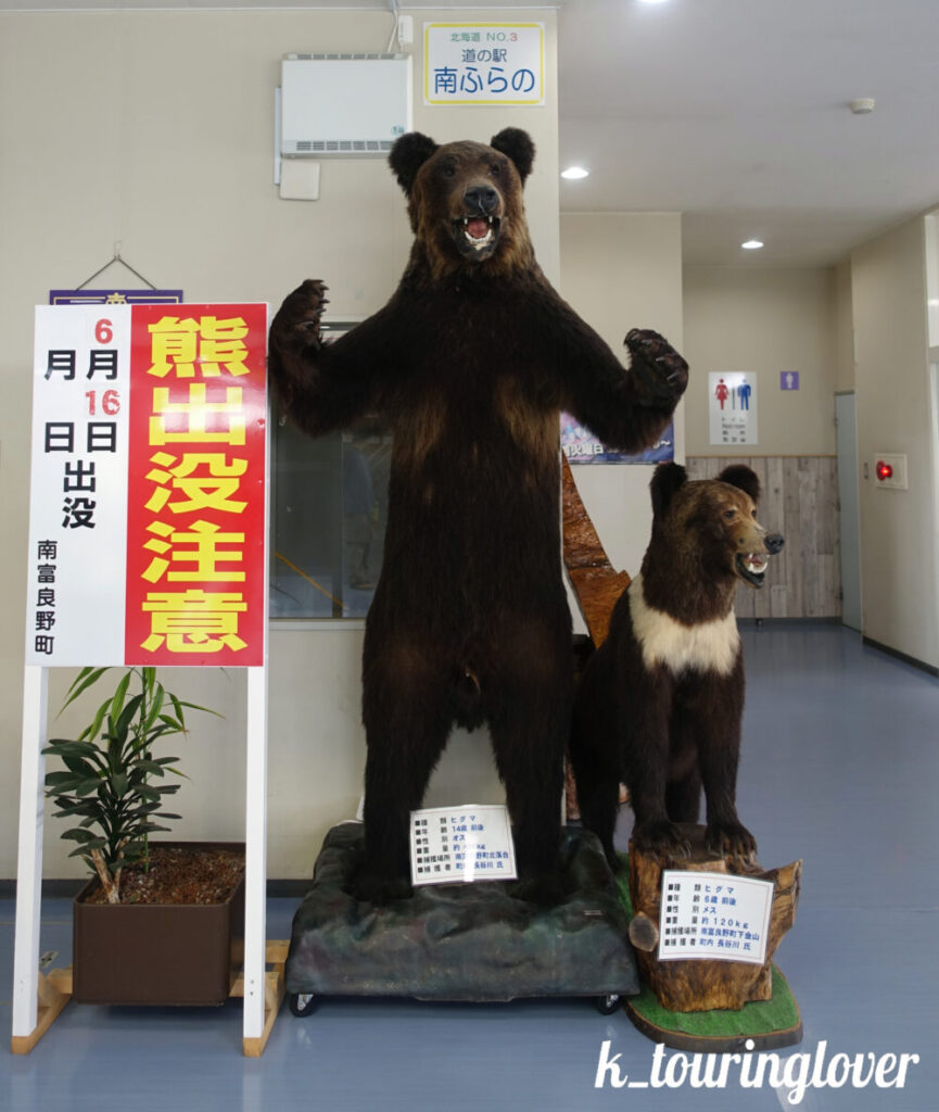 くまのはく製